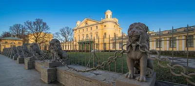 Львиная стая у дачи Безбородко