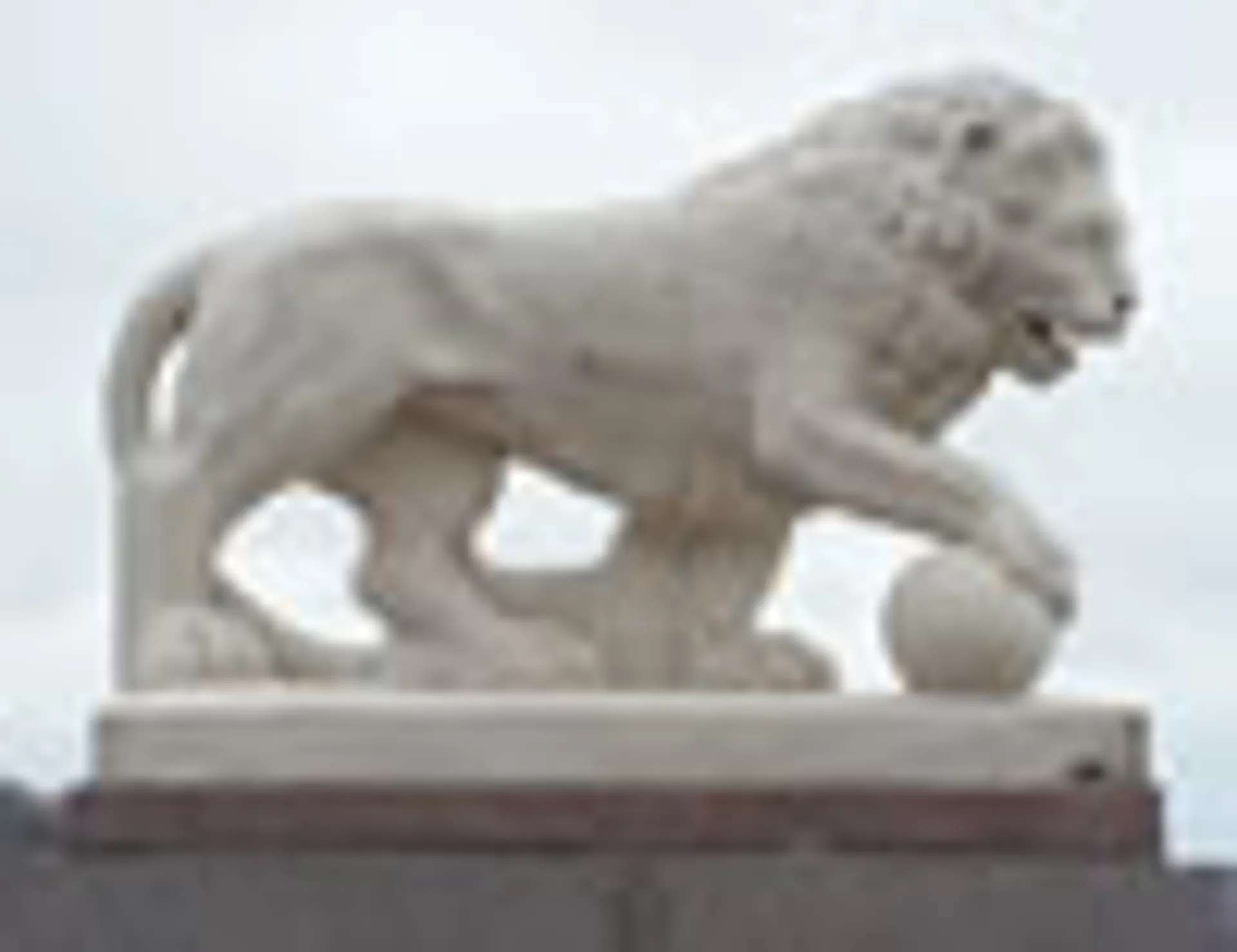 Львы на стрелке Елагина острова