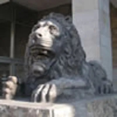 Львы перед зоопарком - Фото 1